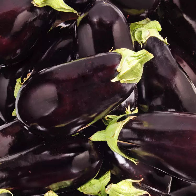 Aubergine